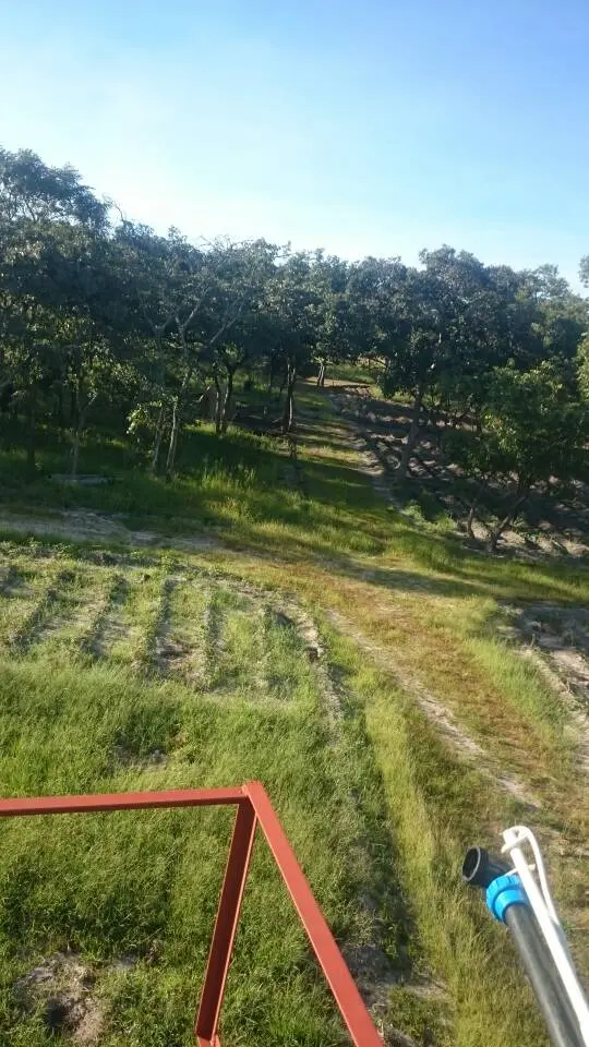 130-Hectare Integrated Farm with Livestock Facilities & Solar Power image