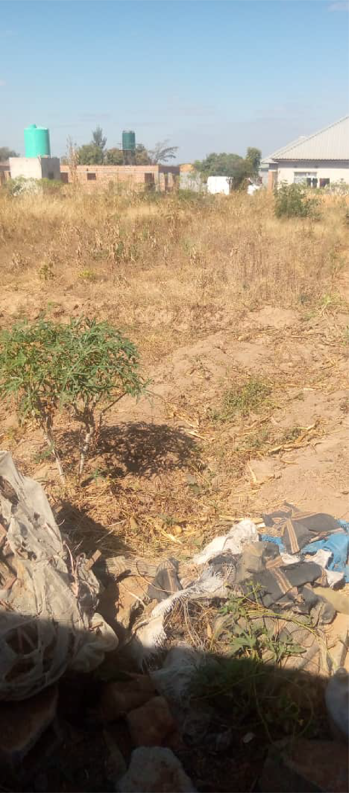 Dola Hill Plot