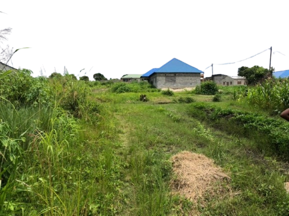 Minsundu Plot 20x30